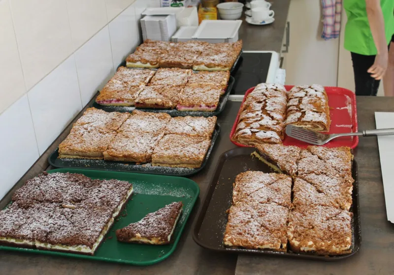 Jarní výstava 2026